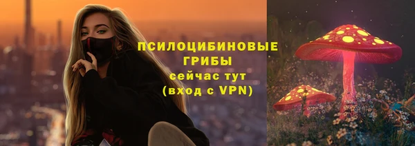 mdpv Магас