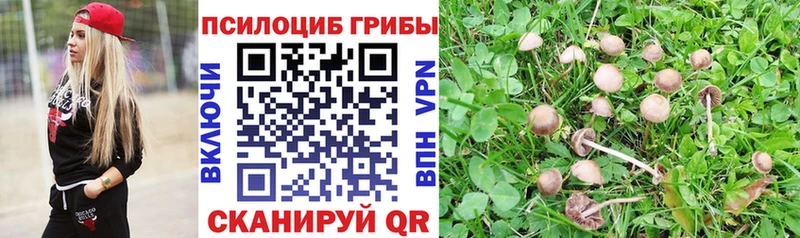 Псилоцибиновые грибы прущие грибы  Спасск 
